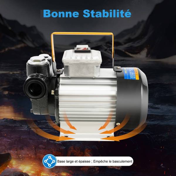 Pompe Diesel Auto-amorçante 550W LG-1008 - Débit Jusqu'à 60L/min, Tuyaux Inclus (2m Entrée + 4m Sortie), Pour Transfert Fioul