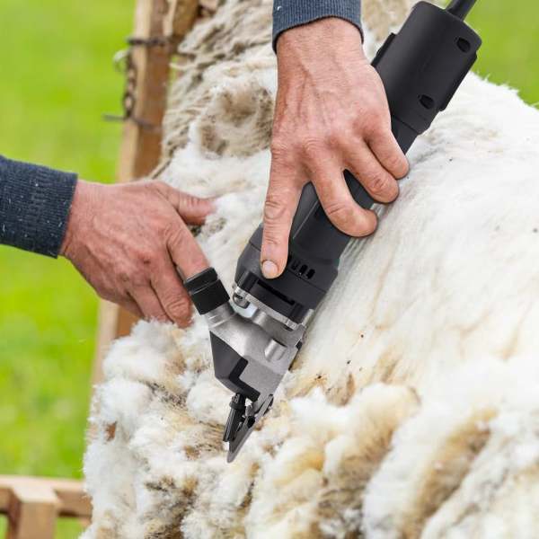 Tondeuse à moutons 350W Electric Professional Machine à tondre les moutons Machine à couper les animaux qui produisent des fibres de laine Tondeuse à moutons 350W Electric Professional Machine à tondre les moutons Machine à couper les animaux qui produisent des fibres de laine