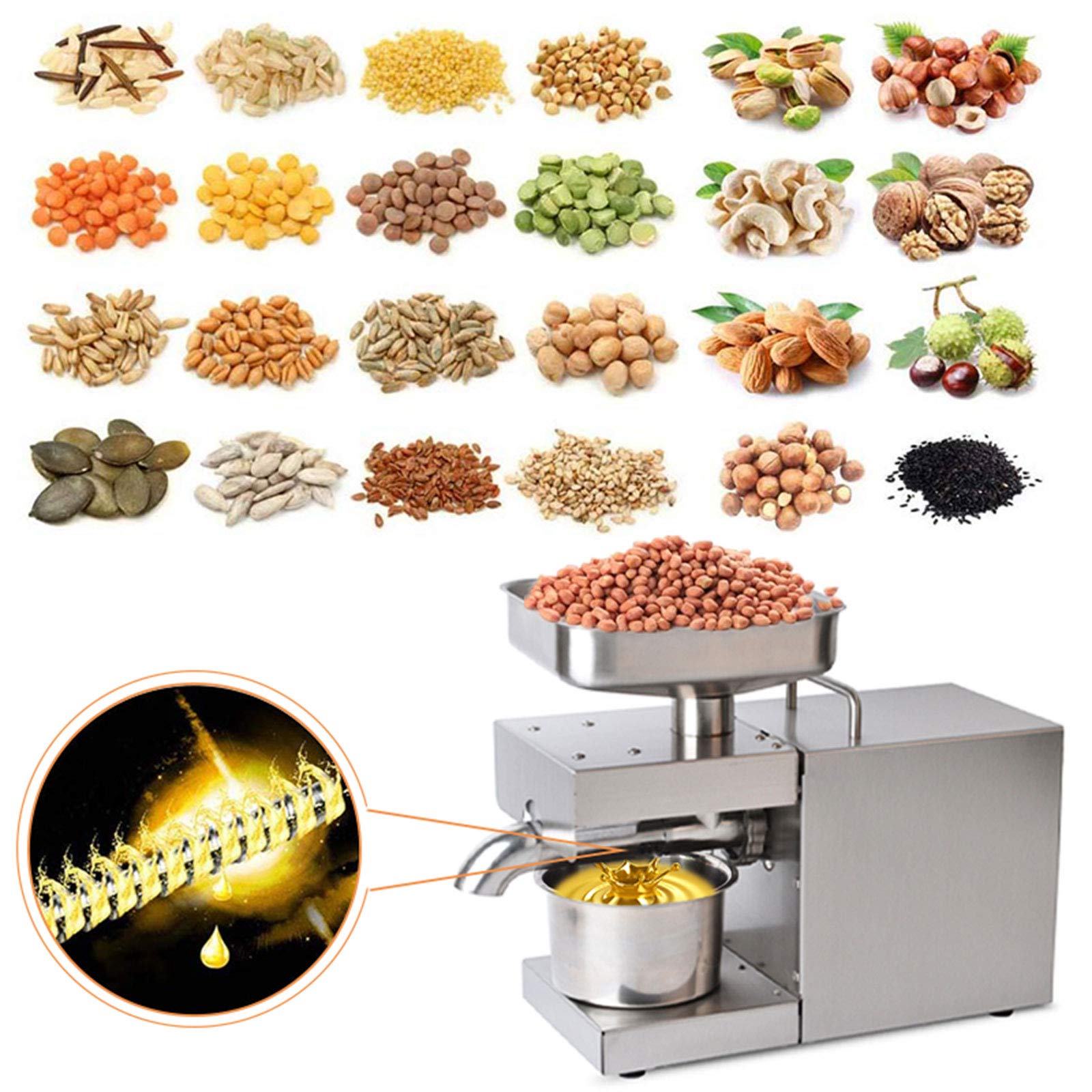 Presse à Huile Électrique 600W - Acier Inoxydable 304 - Pour Arachides, Noix, Tournesol, Olives - Rendement Jusqu'à 45% - 10
