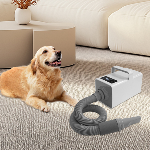 Sèche-cheveux pour animaux de compagnie 2200 W, sèche-cheveux réglable pour animaux de compagnie - Blanc Sèche-cheveux pour animaux de compagnie 2200 W, sèche-cheveux réglable pour animaux de compagnie - Blanc