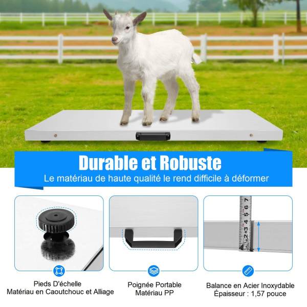 Balance Numérique Pour Animaux - Plateau Confortable 10kg, écran LCD Pour Chats, Chiens & Petits Animaux