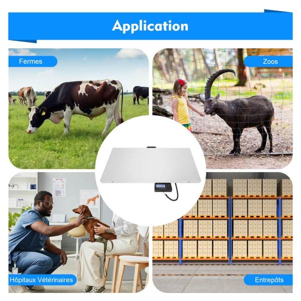 Balance Numérique 440 Lbs - Plateforme Inox - Pour Animaux, Bétail - Neuf