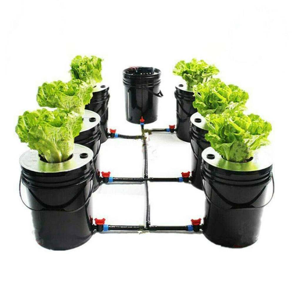 Substrat Germination Hydroponique éponges Tourbe Biologique 20 Éponges De Culture Hydroponique SIRLOMU - Substrat Pour Germination Et Racines - Compatible Kits De Jardin Intérieur
