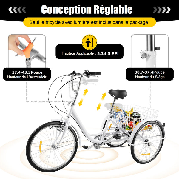 Tricycle Naxidf 20 Pouces Adulte – 3 Roues, Panier, Guidon Et Selle Réglables, Pour Taille 1,55–1,70 M