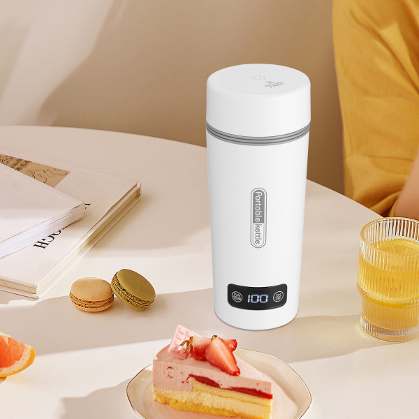 Température réglable ,Bouilloire en acier inoxydable avec arrêt automatique et protection contre le dessèchement , Blanc