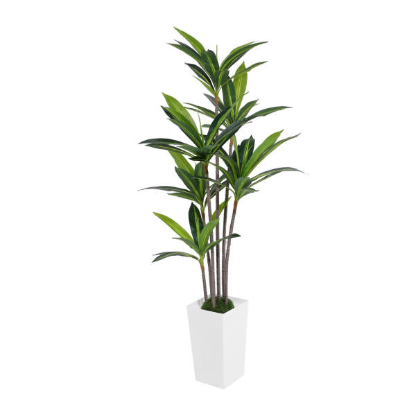 Dracaena artificiel, plante artificielle, décoration de salon, bureau, jardin, blanc