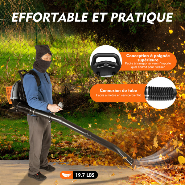63CC 2 Temps Souffleur de Feuilles à Essence avec Sac Machine de Balayage de Neige de Feuille de Poussière pour Jardin, Route