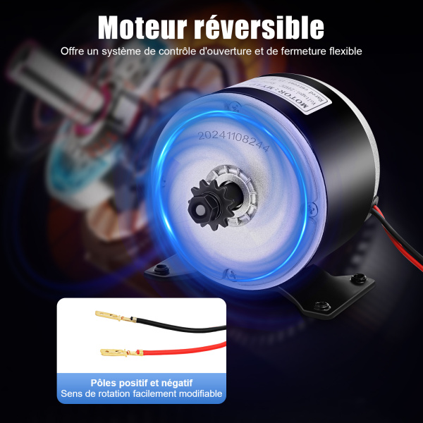 Moteur de Brosse à Courant continu 250W 24V Moteur à Aimant Permanent de Brosse électrique pour Scooter électrique