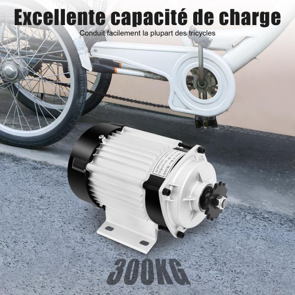Kit de conversion de tricycle électrique Brushless pour équiper trois roues Moteur à engrenages sans balais pour tricycle / Rikscha / Tricycle